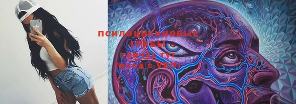 амф Алексеевка