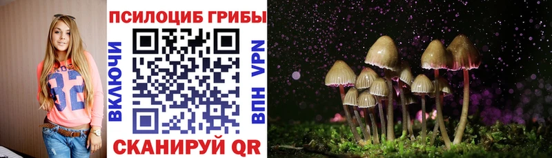 Купить закладки  Моршанск  Галлюциногенные грибы Psilocybine cubensis 